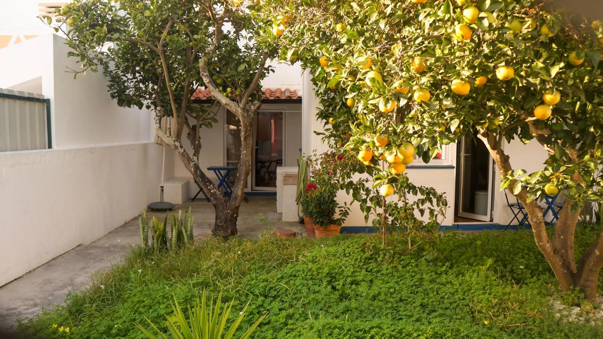 Lemon Tree House By Stay In Alentejo ヴィラ・ノヴァ・デ・ミルフォンテス エクステリア 写真